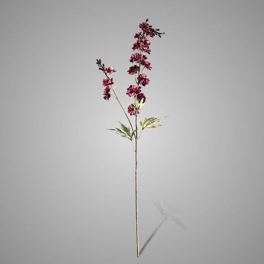 Brynxz Delphinium Burgundy 90 cm