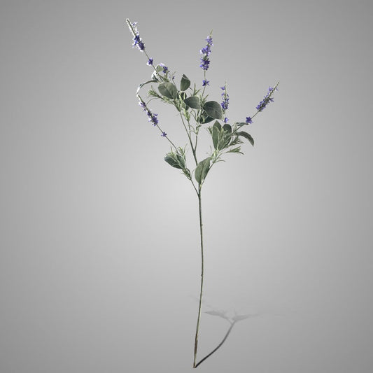 Sylxz Salvia Nemerosa Blue 90 cm - Brynxz Online By O zo sfeervol