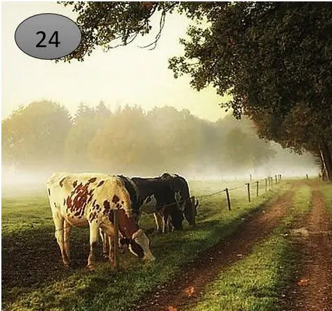 Onderzetter nr 24 O zo sfeervol