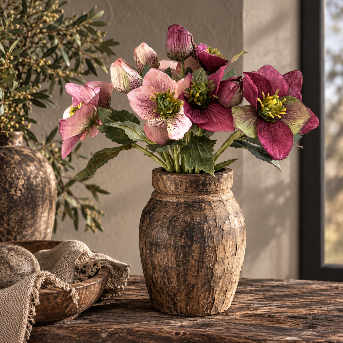 Sylxz Helleborus
