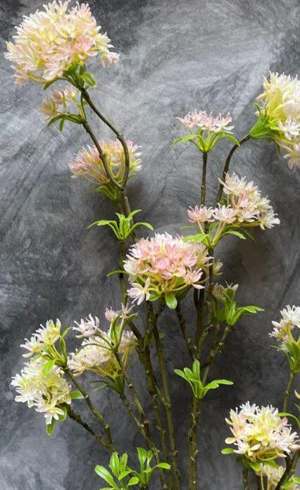 Sylxz Bouvardia spray 85 cm Brynxz Online