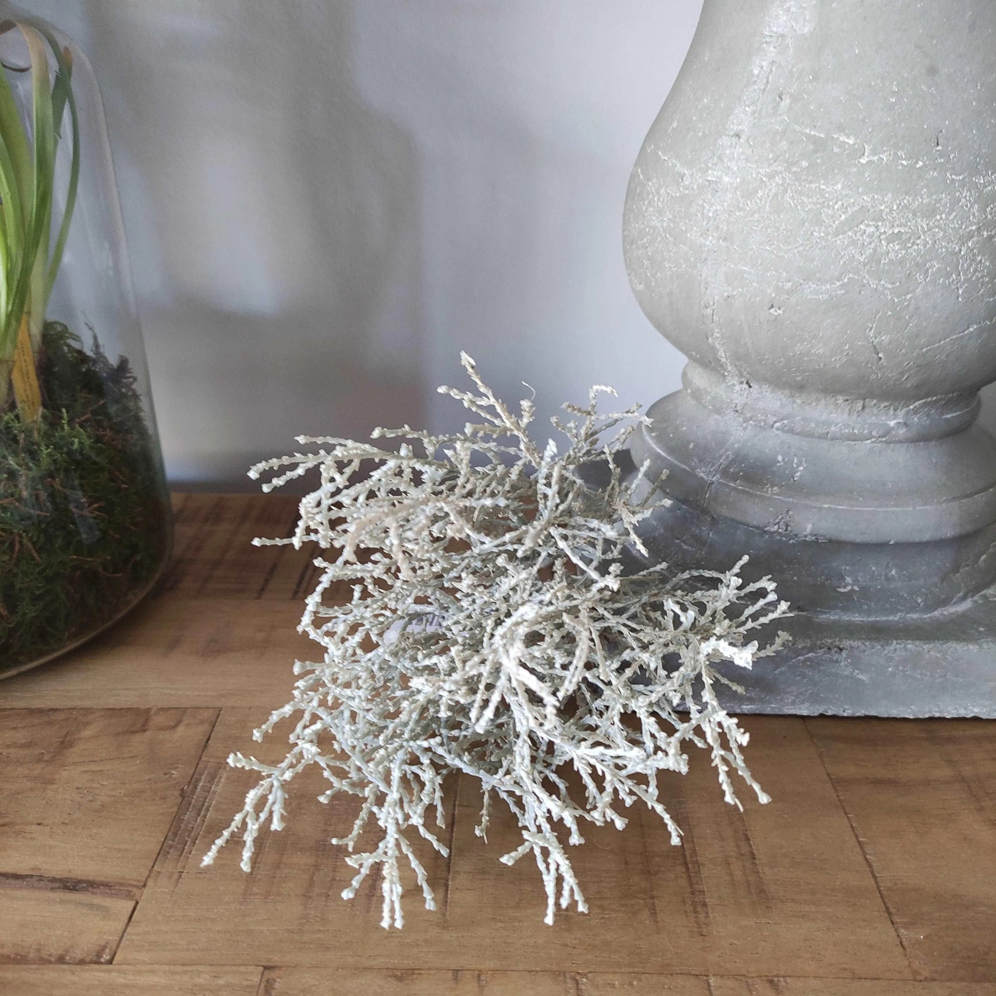Sylxz Calocephalus Bundle 20 cm Brynxz Online