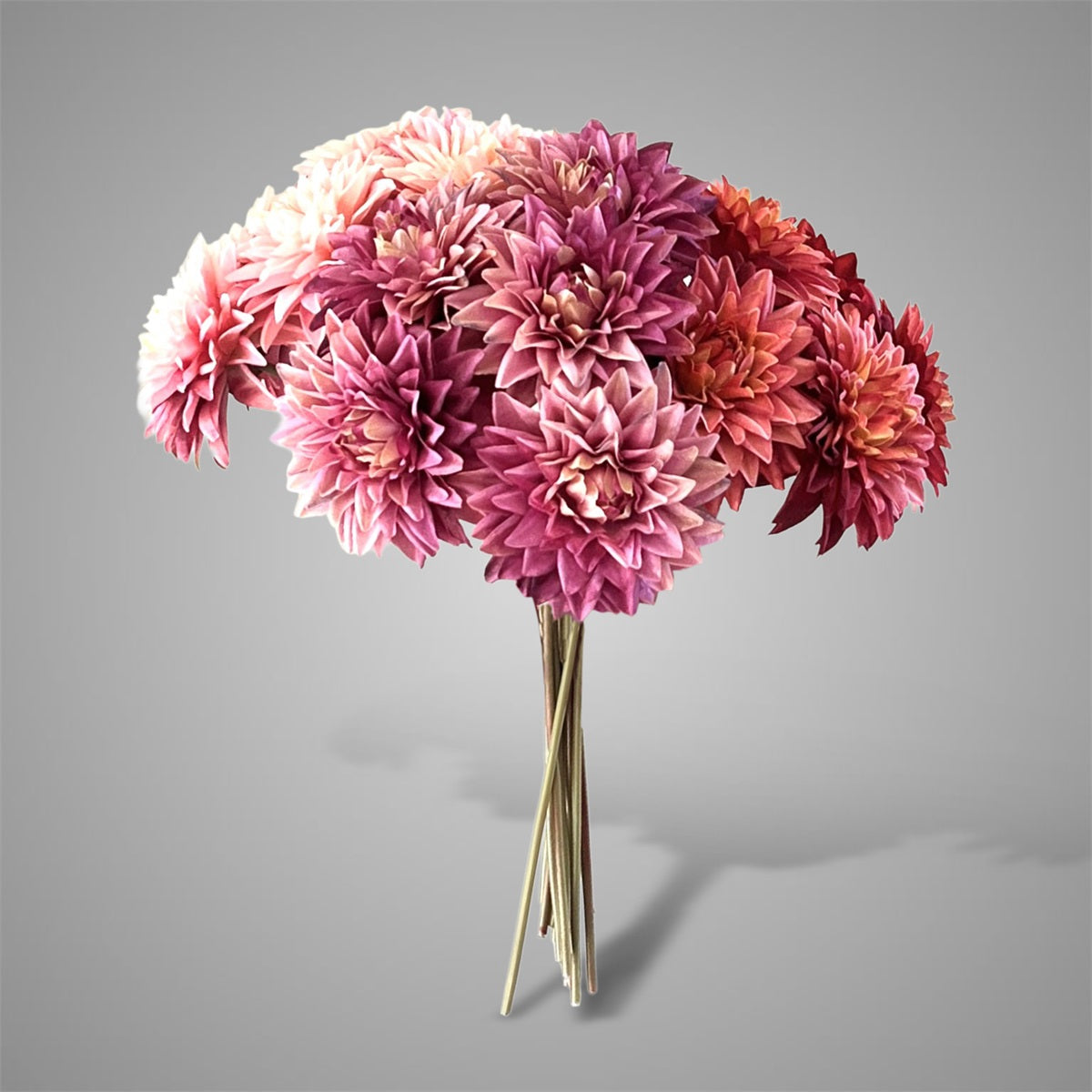 Sylxz Aster Pinkrange