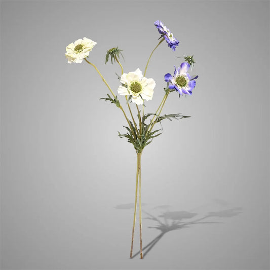 Sylxz Scabiosa White/Blue 70 cm Brynxz Online