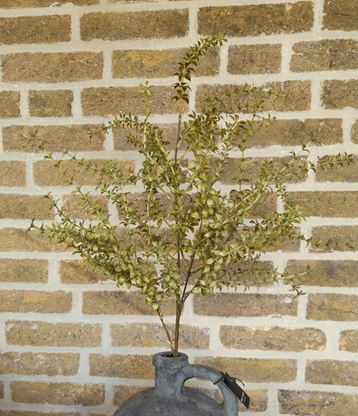 Bloemtak Groen – bloemtak groen | Brynxzonline.nl
