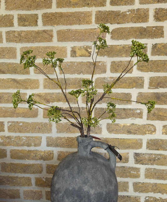 Bloemtak groen – bloemtak groen | Brynxzonline.nl