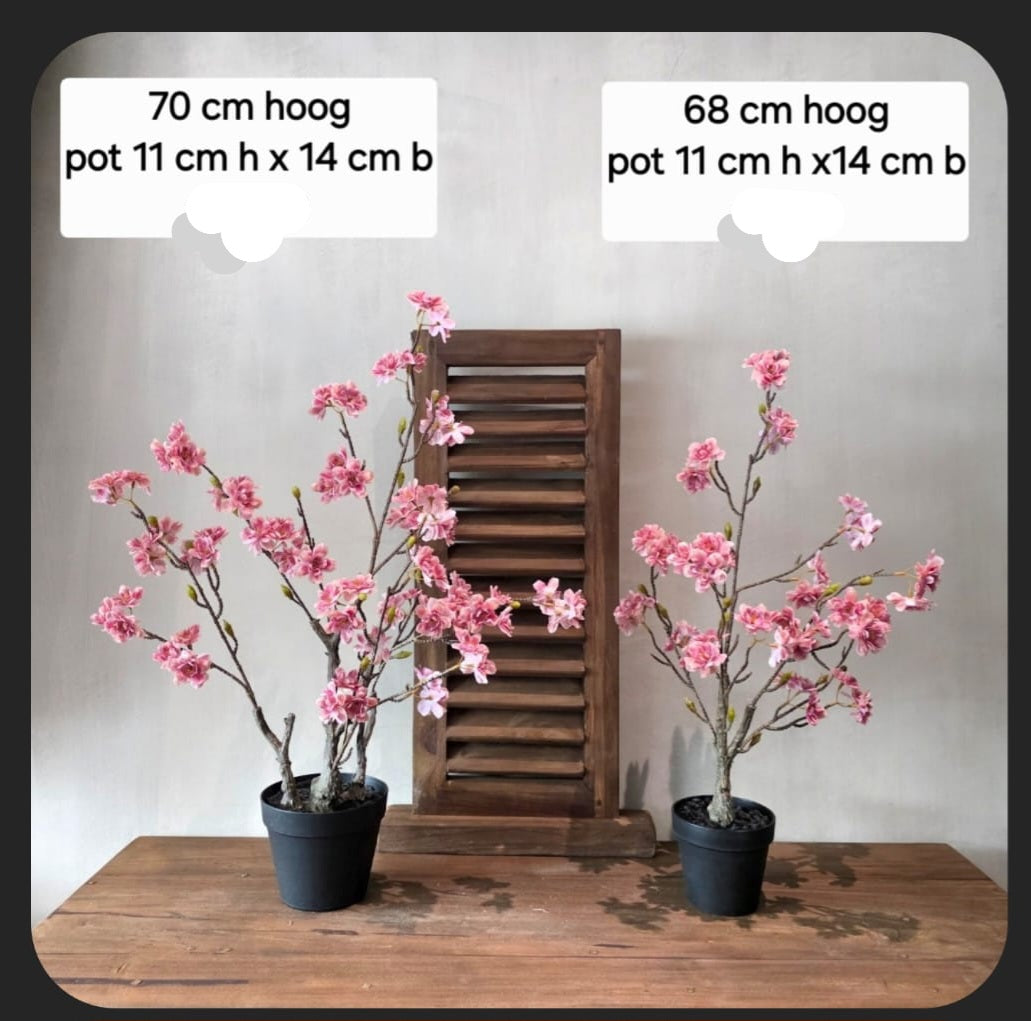 Zijden Bloesem Boom Roze S sfeerfoto – zijden bloesemboom | Brynxzonline.nl