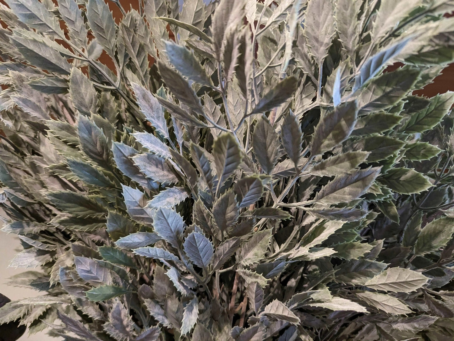 Sylxz Decoratie Tak Groen sfeerfoto – Decoratieve Kunsttak | Brynxzonline.nl
