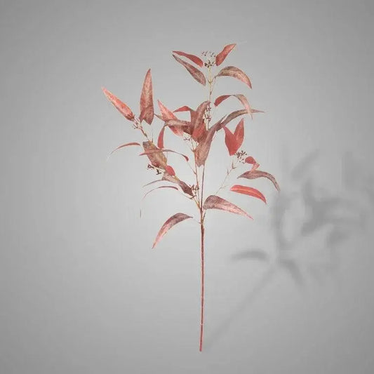 Sylxz Eucalyptus Lancet Red, decoratieve kunsttak