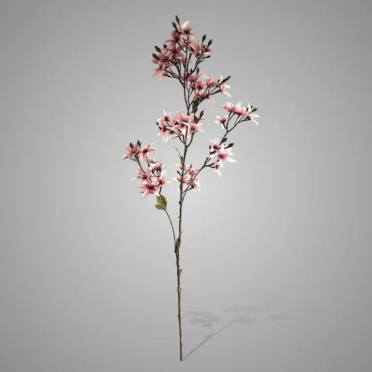 Sylxz Forsythia Grande Ant. Pink 100 cm – Sylxz bloemen | Brynxzonline.nl
