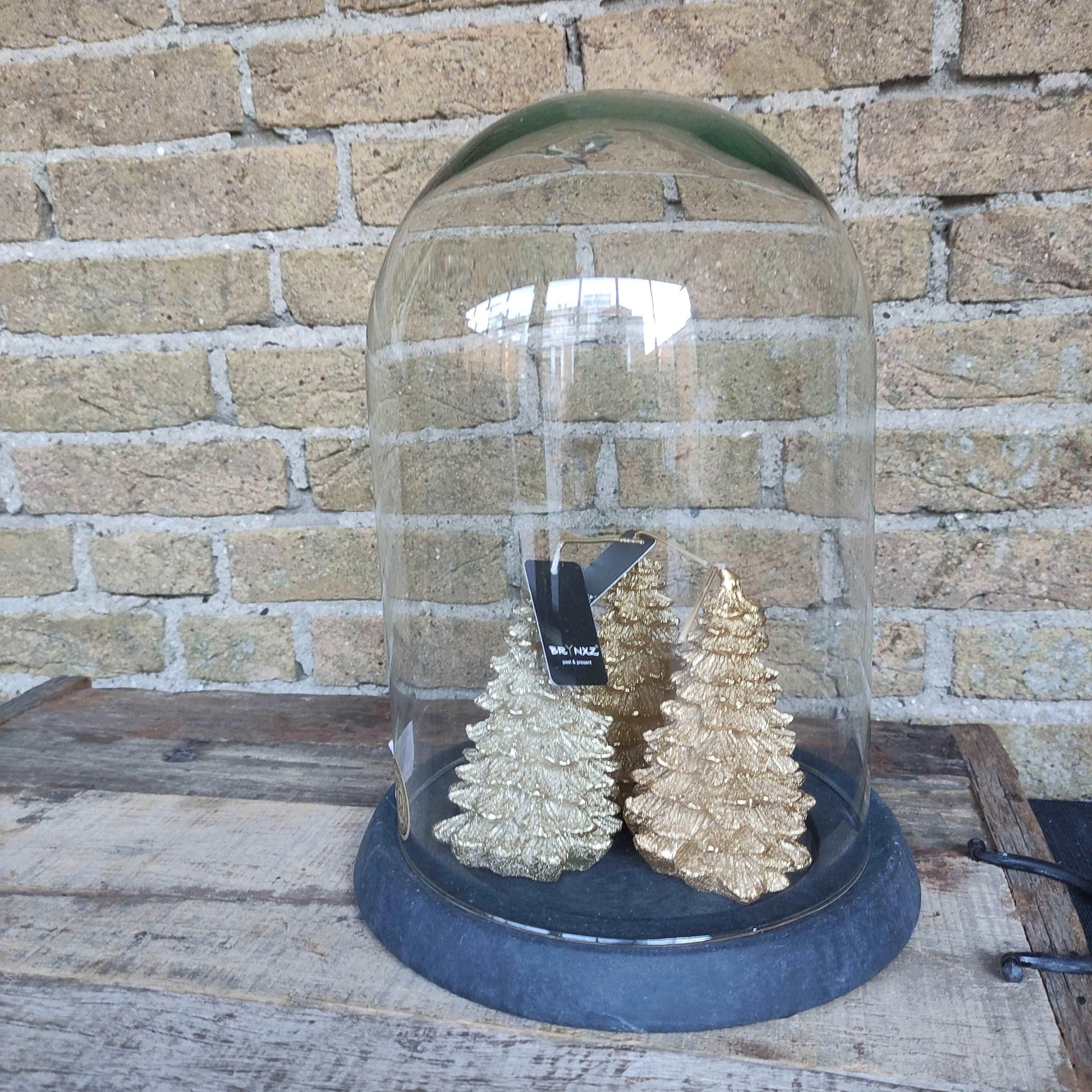 Brynxz ECO Glazen Stolp Groot sfeerfoto – Glazen Windlicht | Brynxzonline.nl