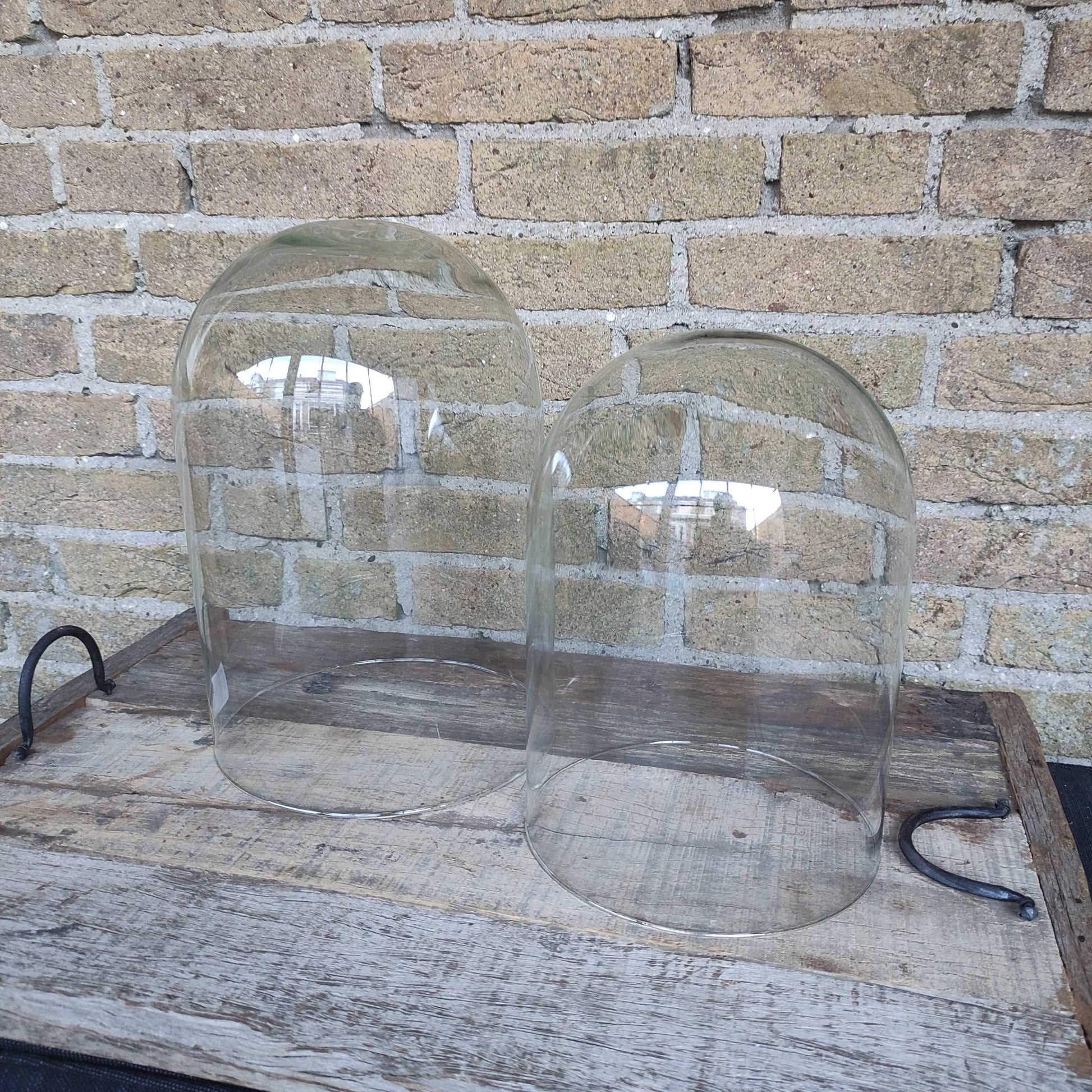 Brynxz ECO Glazen Stolp Groot close-up – Glazen Windlicht | Brynxzonline.nl