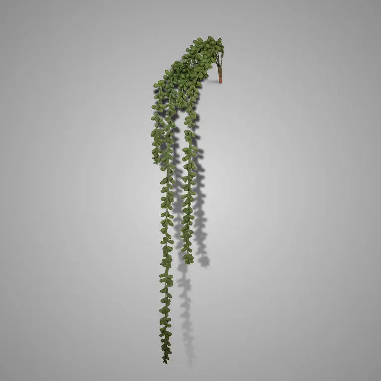 Sylxz Hanger Garden Pea – Hangende Kunstplant | Brynxzonline.nl
