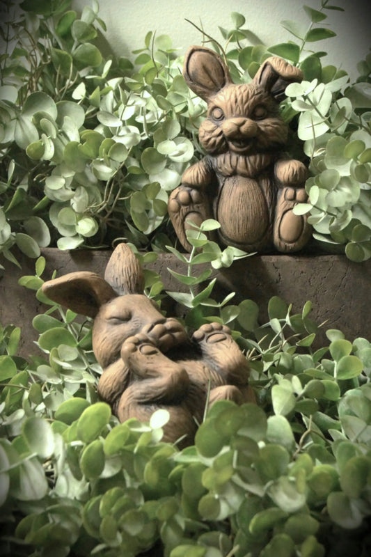 Brynxz Hares Funny set van 2 – Brynxz konijntjes | Brynxzonline.nl