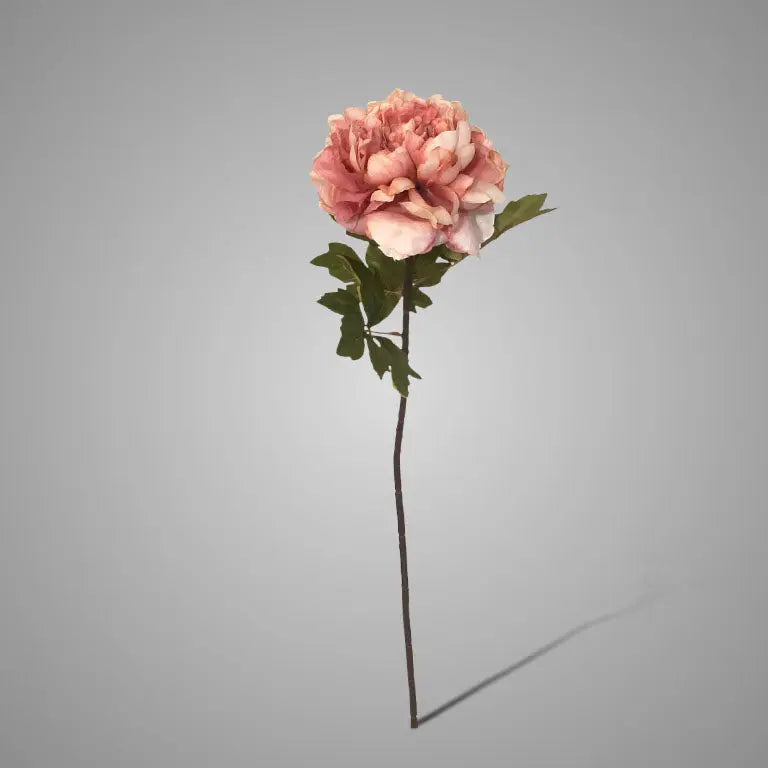 Sylxz Peony Ant. Pink – Zijden Kunstbloem | Brynxzonline.nl