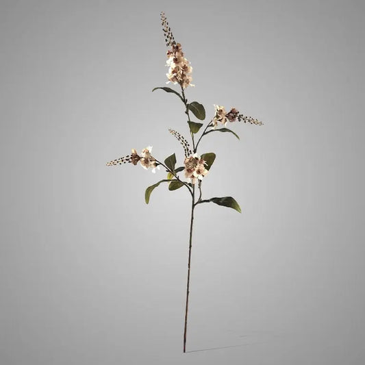 Sylxz Physostegia Salmon 100 cm – Sylxz bloemen | Brynxzonline.nl