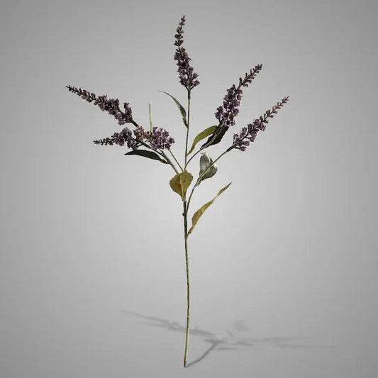 Sylxz Pieris Purple 50 cm – Sylxz bloemen | Brynxzonline.nl
