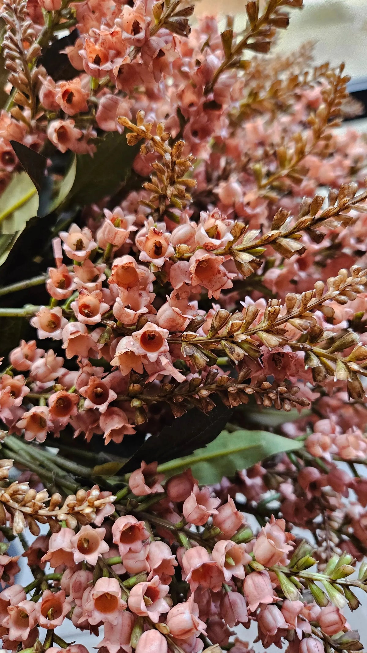 Brynxz Pieris Spring Sober 55 cm sfeerfoto – kunstbloemen | Brynxzonline.nl