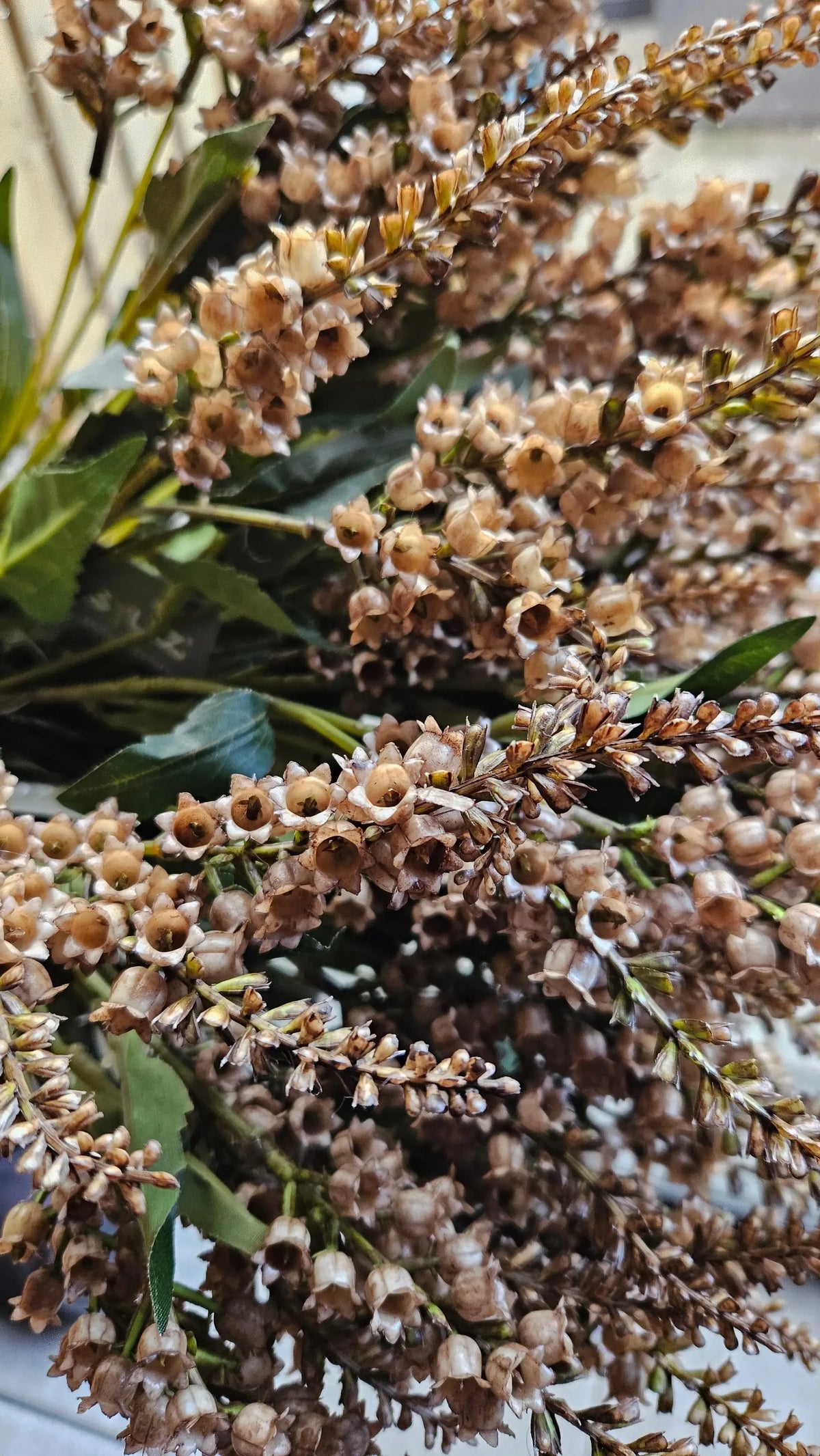 Brynxz Pieris Spring Sober 55 cm close-up – kunstbloemen | Brynxzonline.nl