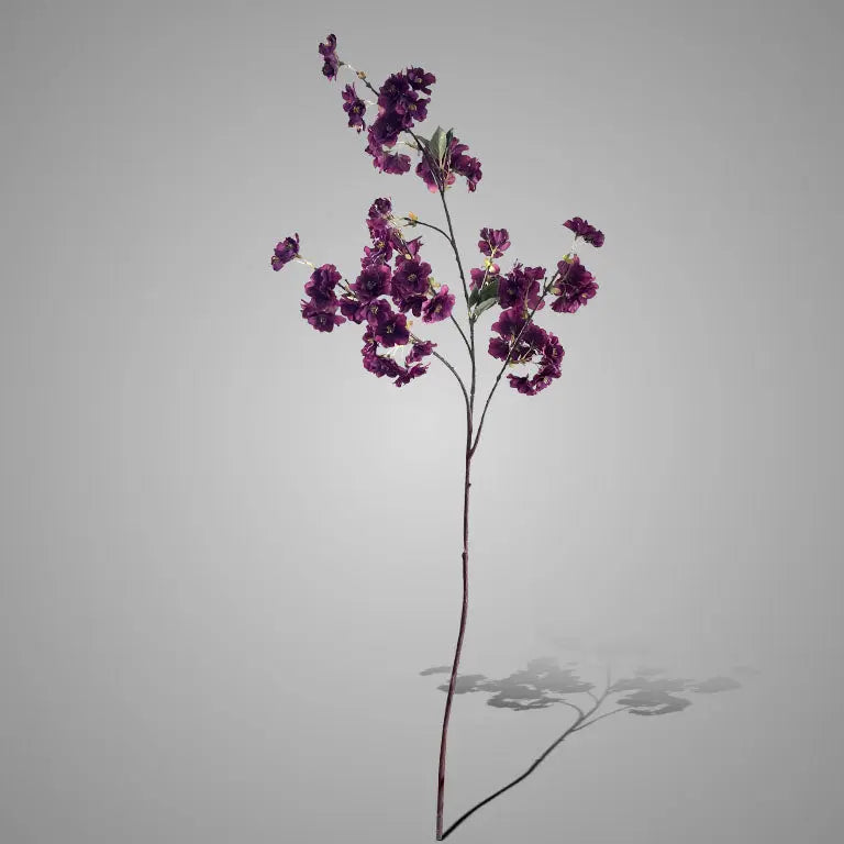 Sylxz Prunus Sakura Dark Purple 100 cm – Sylxz bloemtak | Brynxzonline.nl