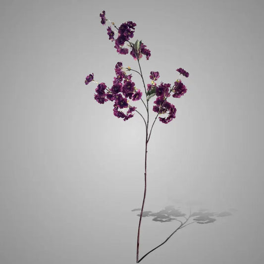 Sylxz Prunus Sakura Dark Purple 100 cm – Sylxz bloemtak | Brynxzonline.nl