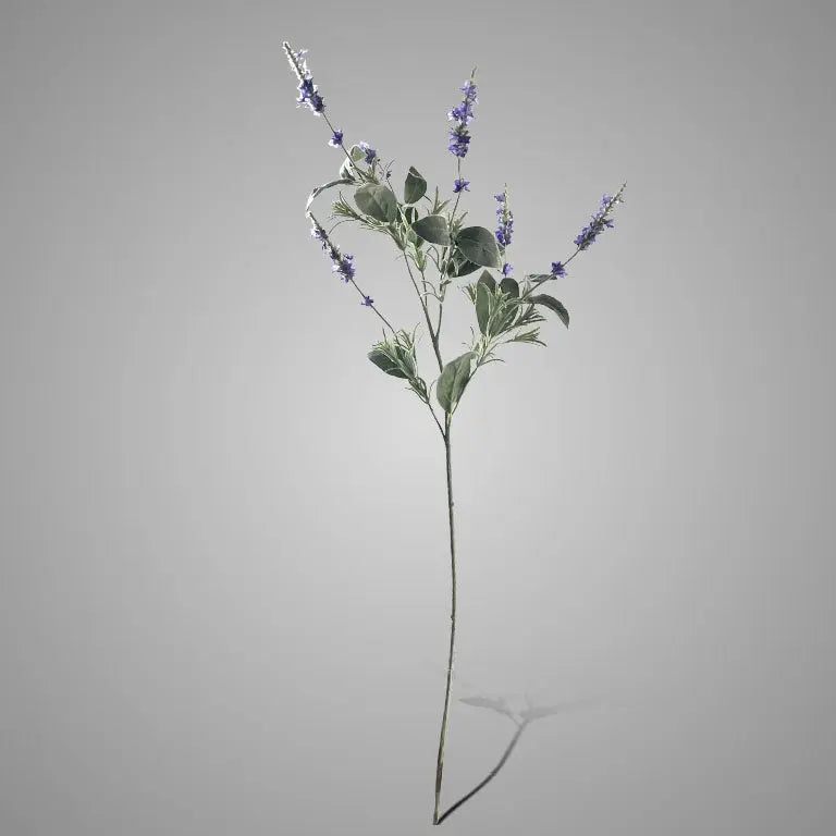Sylxz Salvia Nemerosa Blue 90 cm – Sylxz bloemtak | Brynxzonline.nl