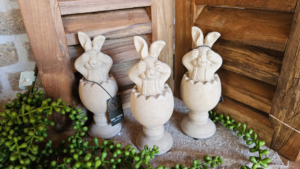 Brynxz Surprise Egg With Hare sfeerfoto – Brynxz paasei