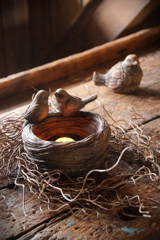 Brynxz Two Birds on a Nest – Brynxz vogels | Brynxzonline.nl