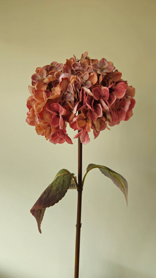 Brynxz Hydrangea Pink