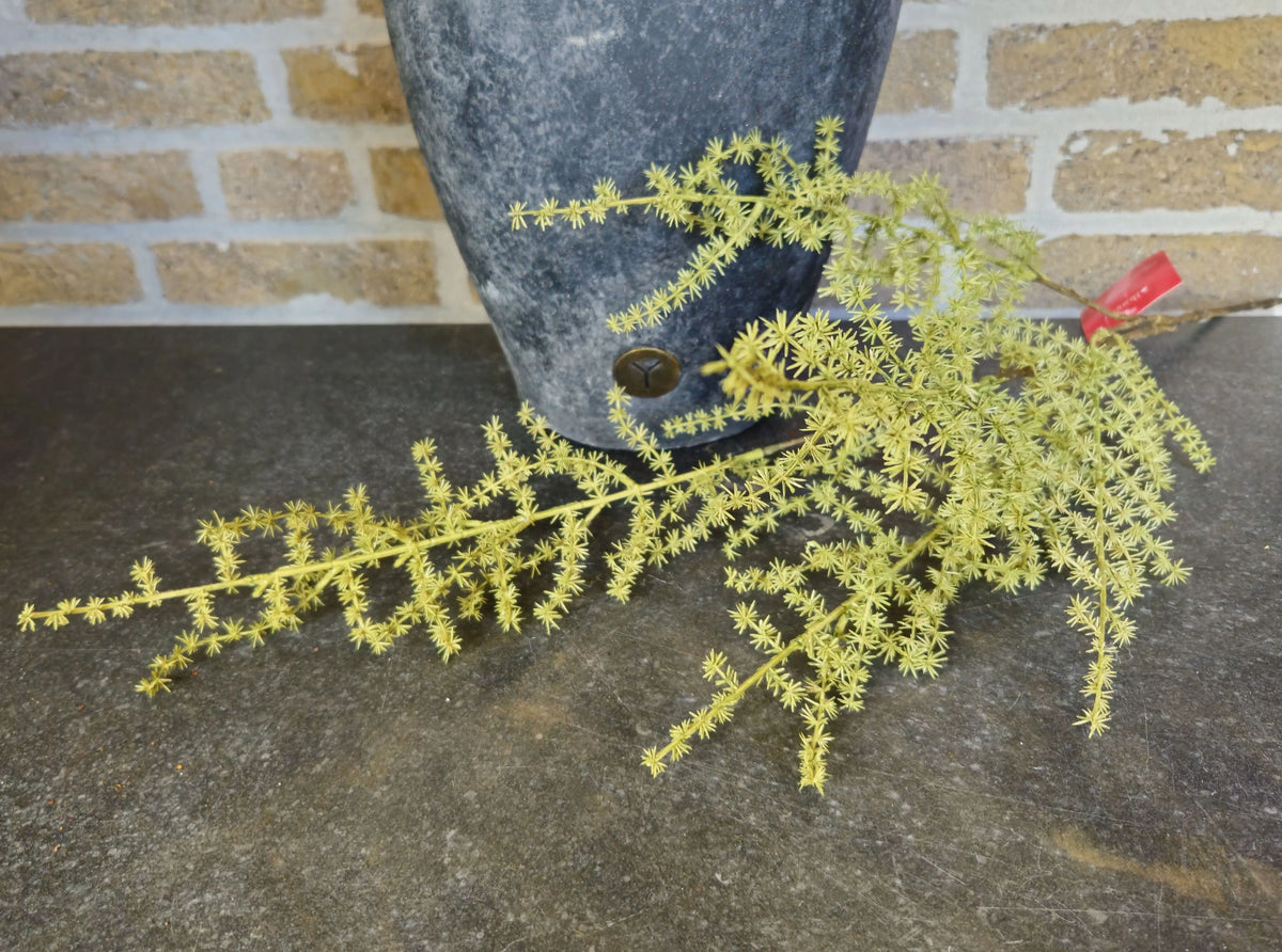 Kunst Asperagus tak – kunst asperagus