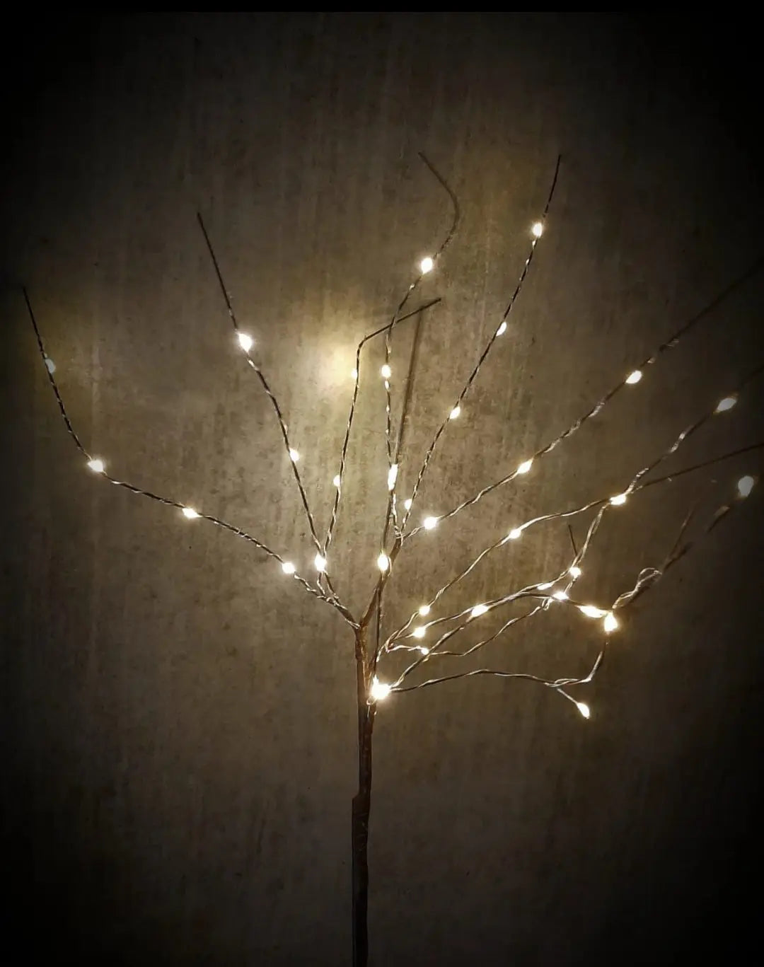 Lichtjes tak – lichtjes tak | Brynxzonline.nl
