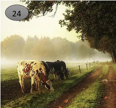 Onderzetter nr 24 – onderzetters | Brynxzonline.nl