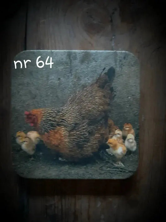 Onderzetter nr 64 – onderzetters kip met kuikens | Brynxzonline.nl