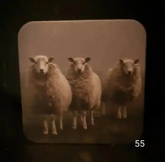 Onderzetters Nr 55 – Landelijke Decoratie Accessoire | Brynxzonline.nl