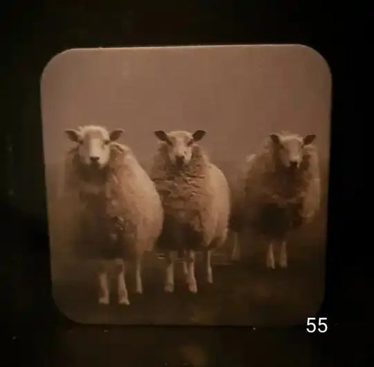 Onderzetters Nr 55 – Landelijke Decoratie Accessoire | Brynxzonline.nl