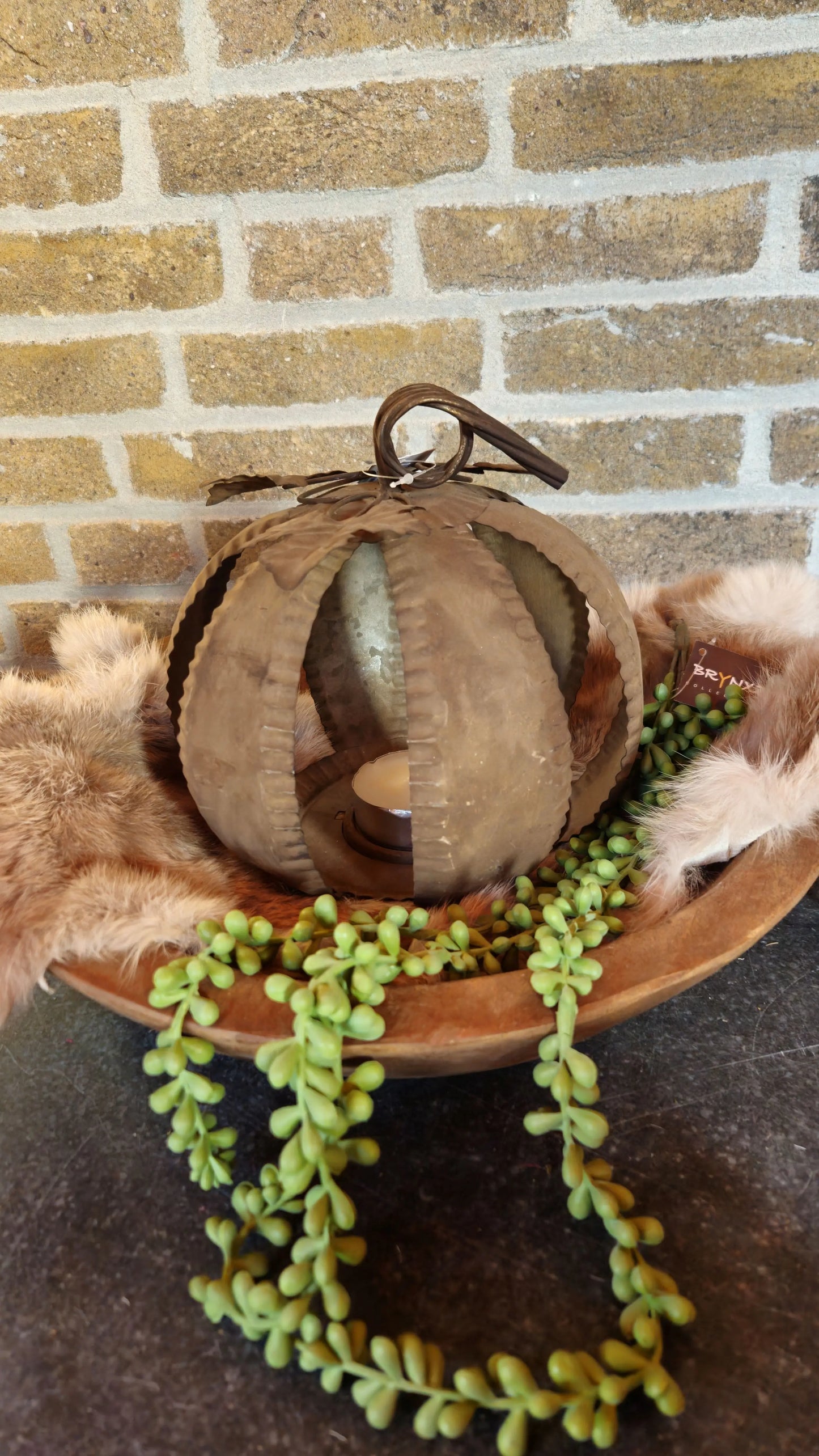 Roest Pompoenen detail – roest pompoenen | Brynxzonline.nl
