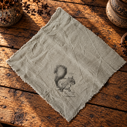 Linnen shabby doek 45 x 45 cm met eekhoorn (schets)