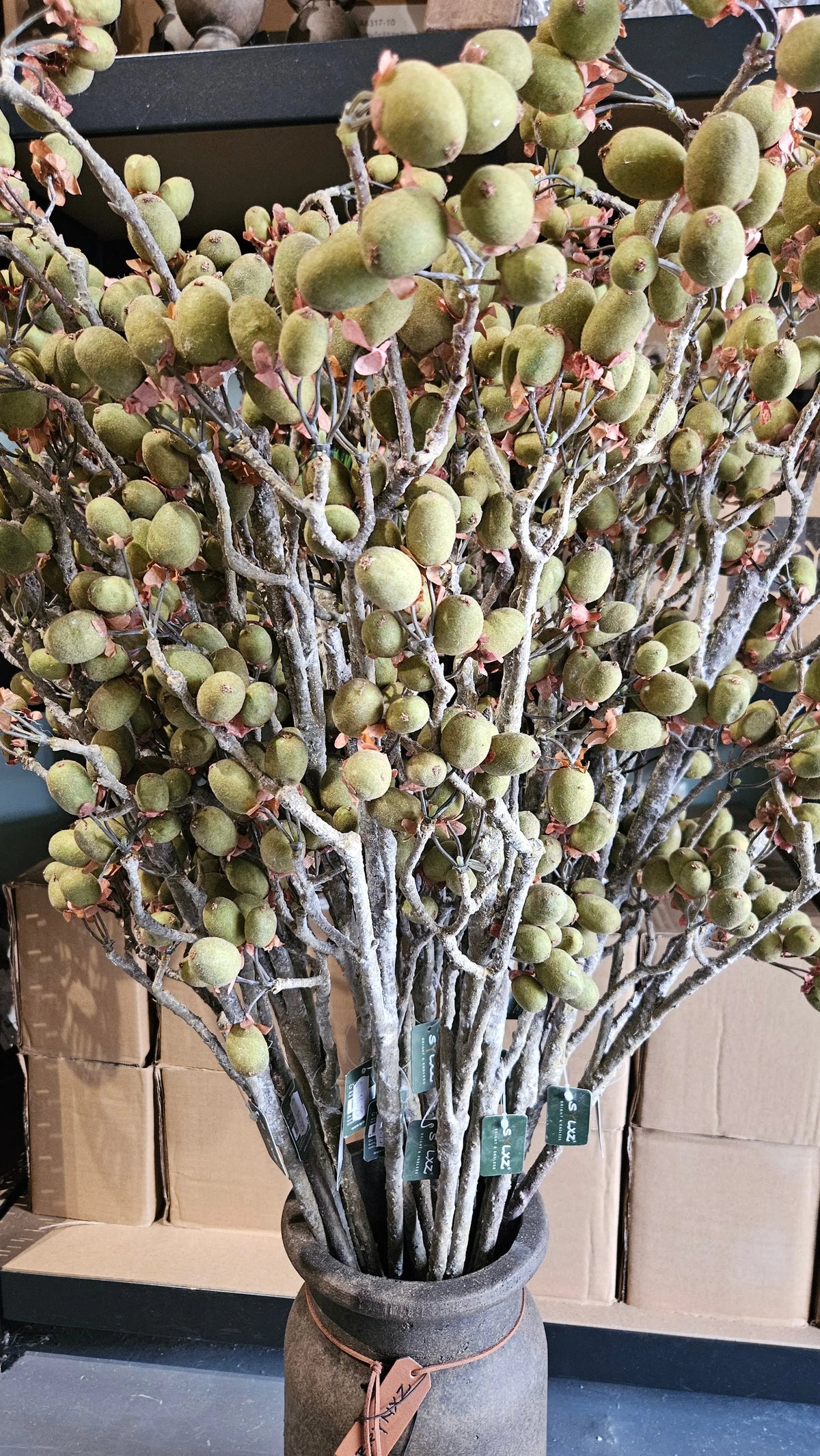 Sylxz Alnus Grande ant. green sfeerfoto – kunsttakken | Brynxzonline.nl