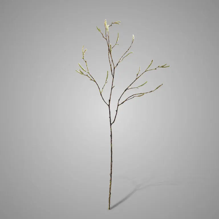 Sylxz Betula Fructus 77 cm – kunsttakken