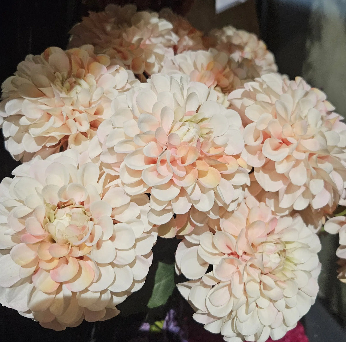 Sylxz Dahlia Bundel sfeerfoto – kunst dahlia