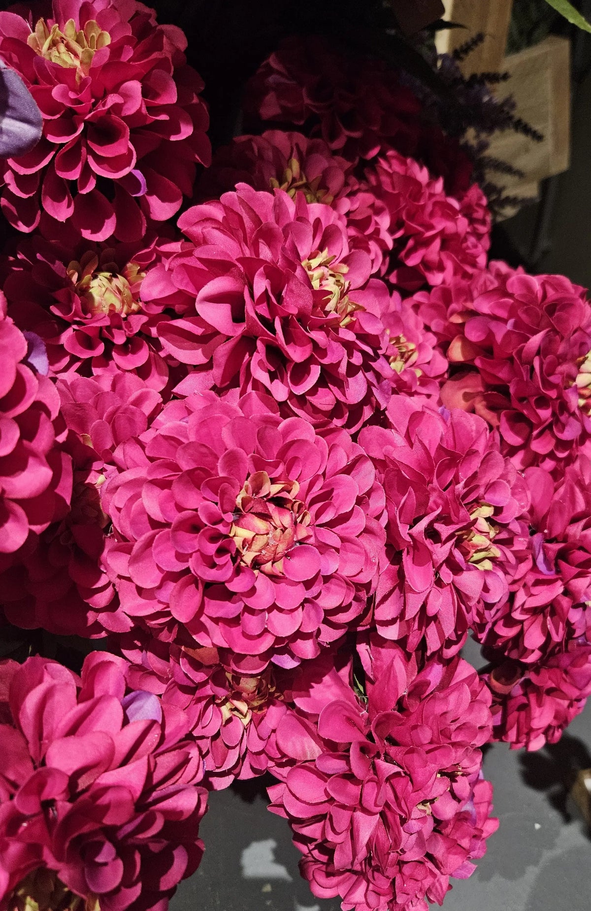 Sylxz Dahlia Bundel detail – kunst dahlia