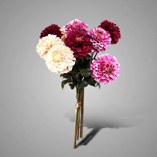Sylxz Dahlia Bundel – kunst dahlia | Brynxzonline.nl