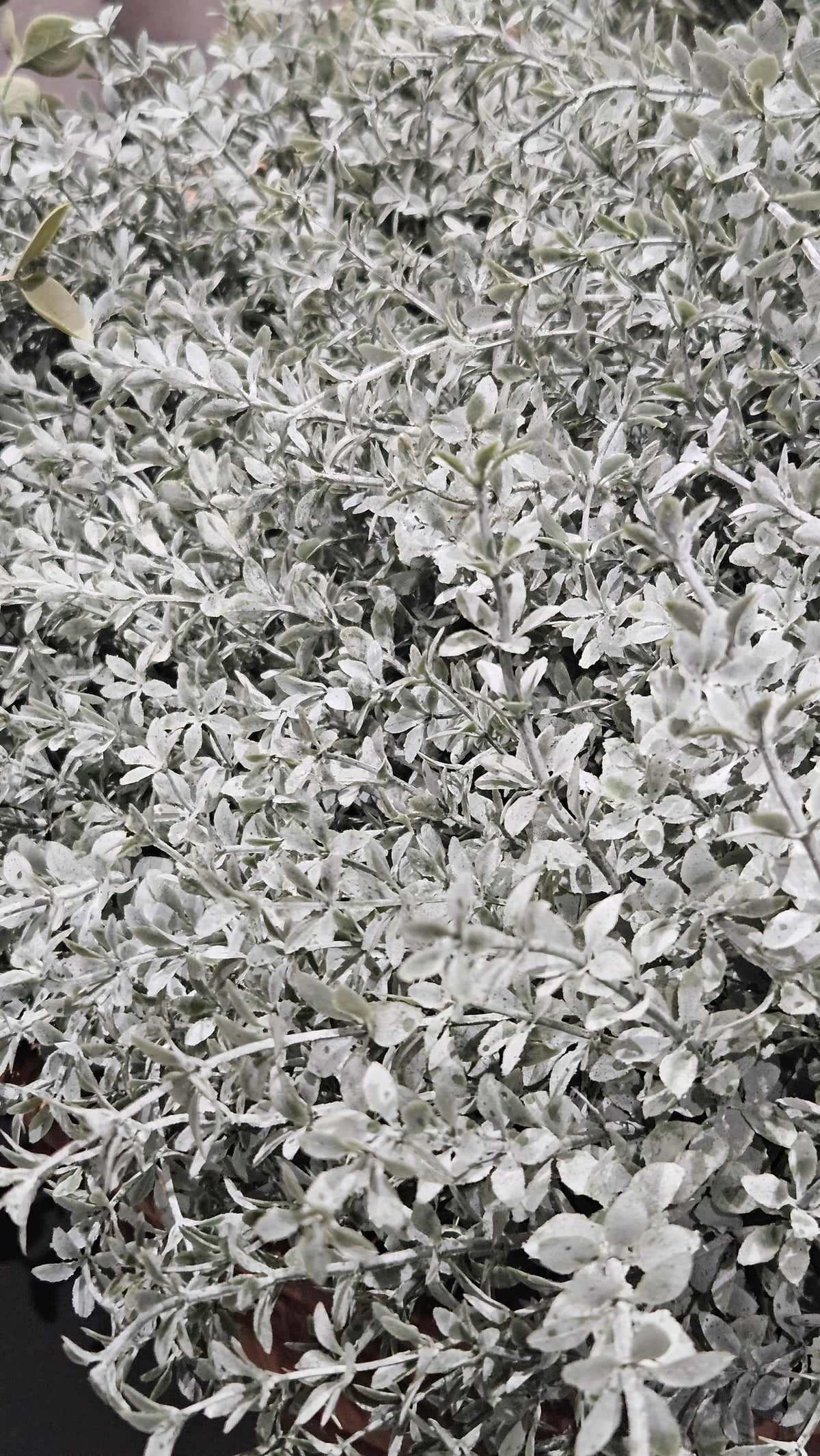 Sylxz Finest Leaf Bush Green sfeerfoto – kunsttak met groene blaadjes