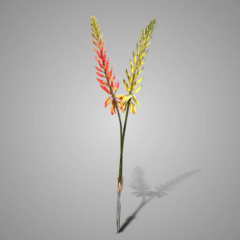 Sylxz Kniphofia Orange/Yellow 80 cm – kunstbloemen