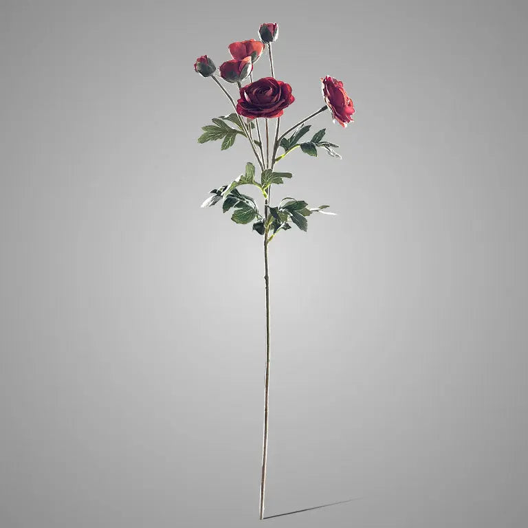 Sylxz Ranunculus Dark Orange 66 cm – Sylxz bloementak | Brynxzonline.nl
