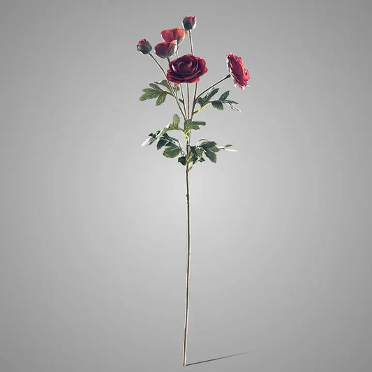 Sylxz Ranunculus Dark Orange 66 cm – Sylxz bloementak | Brynxzonline.nl
