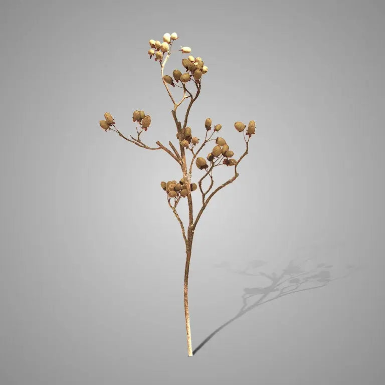 Sylxz Alnus Grande ant. green 92 cm Brynxz Online