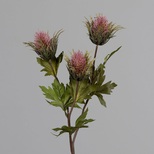 Thistle 68 cm dusty-pink