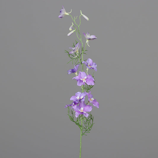 Delphinium 90 cm light violet