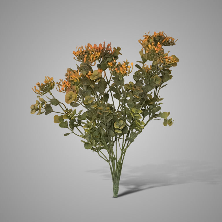 Euphorbia Bush Orange 44 cm